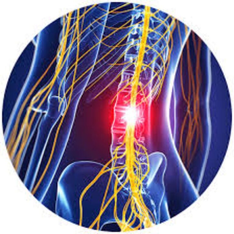 FDA Grants Orphan Drug Designation to Amphix Bio’s Spinal Cord Injury Treatment